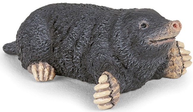 Figurina Papo Wild Animal Kingdom - Cartita