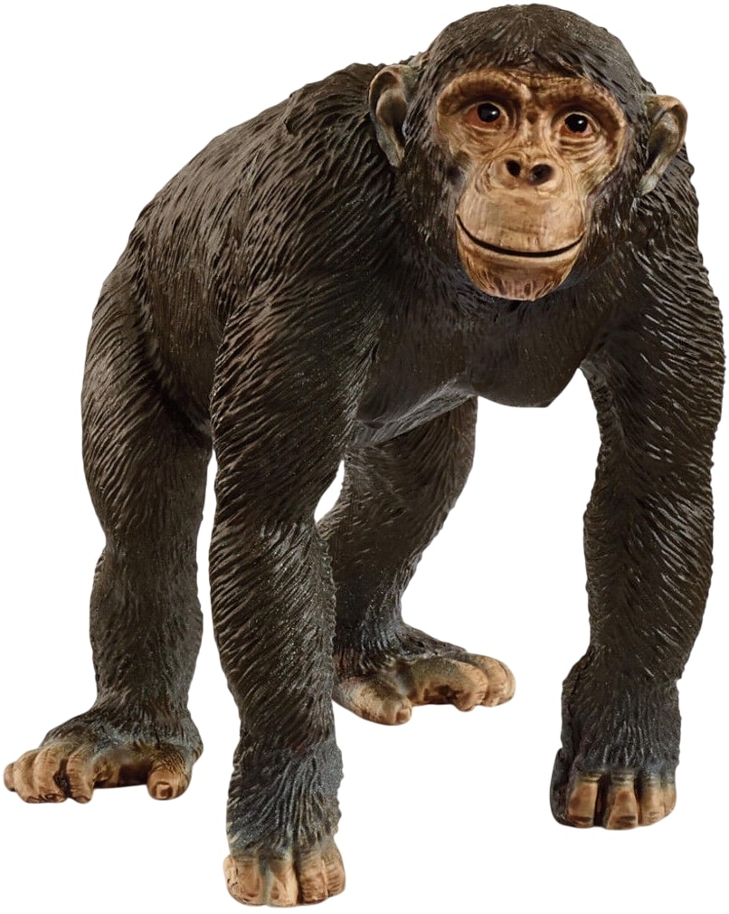 Figurină Schleich Wild Life - Cimpanzeu, 8.3 cm
