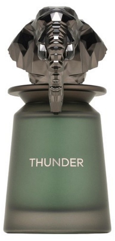 French Avenue Apă de parfum Thunder, 100 ml