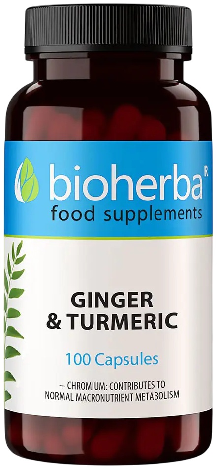 Ginger and Turmeric, 100 capsule, Bioherba