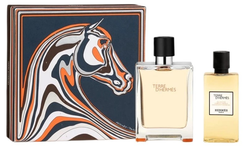 Hermes Terre d'Hermès Set - Apă de toaletă și gel de duș, 100 + 80