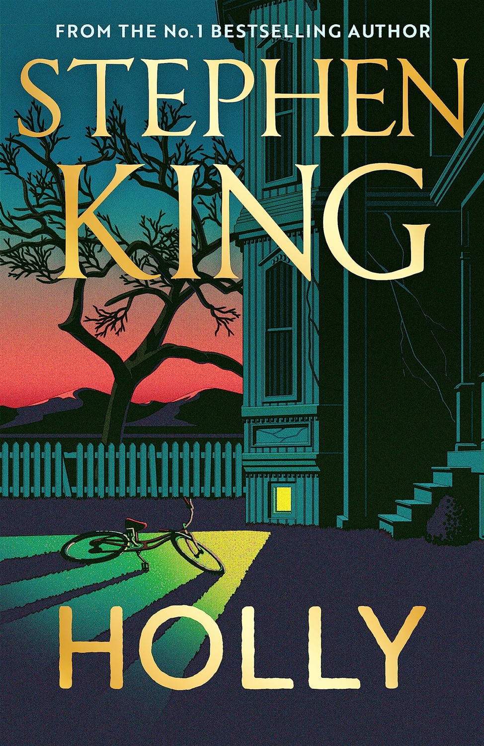 Holly (Hardback)