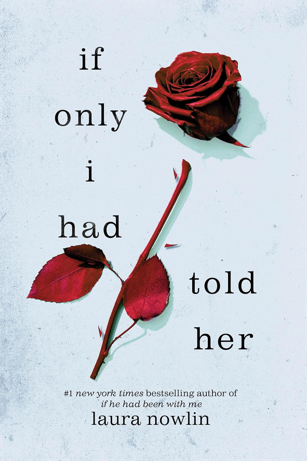 If Only I Had Told Her - Laura Nowlin - imagine 2