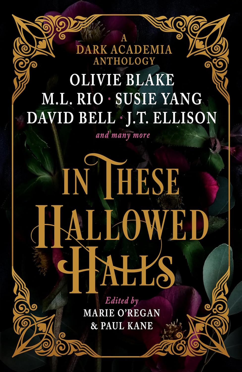 In These Hallowed Halls: A Dark Academia Anthology - Paul Kane - imagine 2