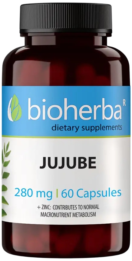 Jujube, 280 mg, 60 capsule, Bioherba