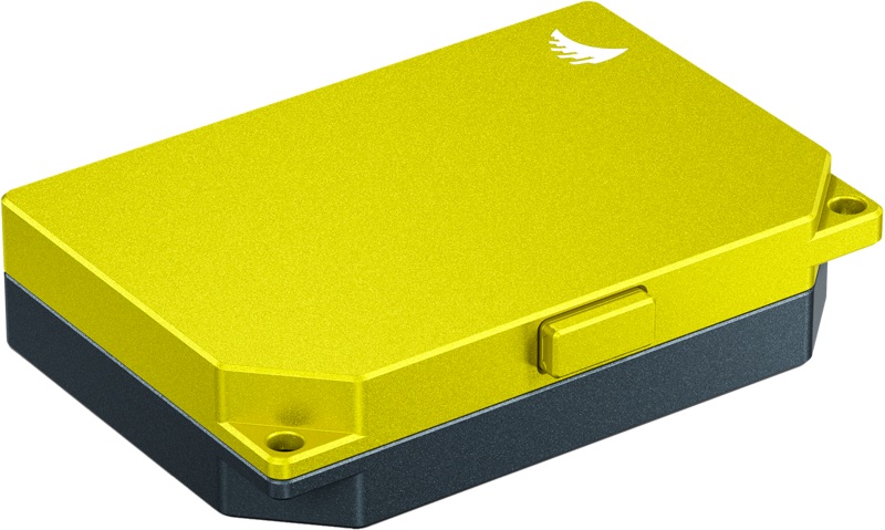 Husă pentru carduri  Angelbird - Media Tank CFexpress Type B, galben/negru