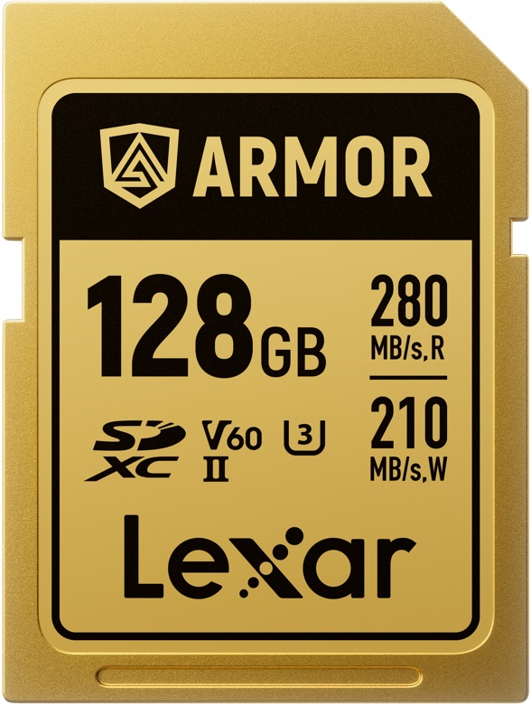 Card de memorie  Lexar - Professional Armor Gold, 128GB, UHS-II, C10 V60 U3