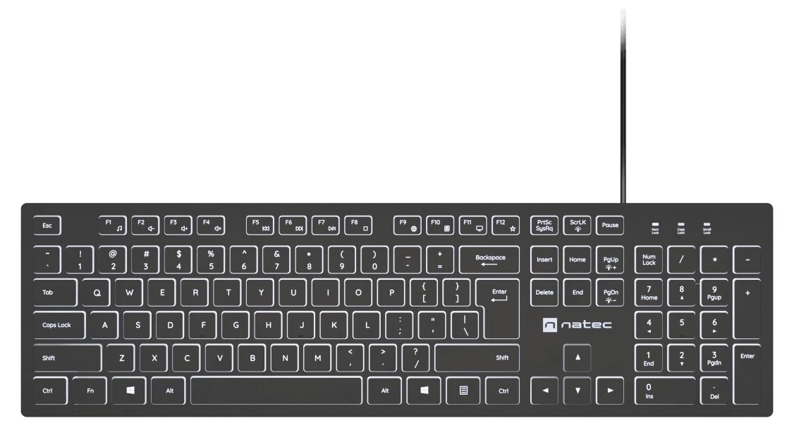Tastatură Natec - Herring Glow, iluminare din spate albă, neagră