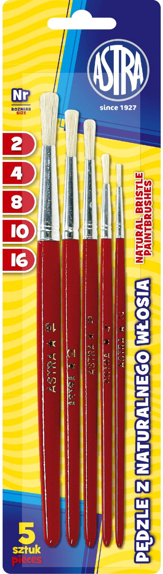 Set de pensule pentru pictură Astra - cu fir natural