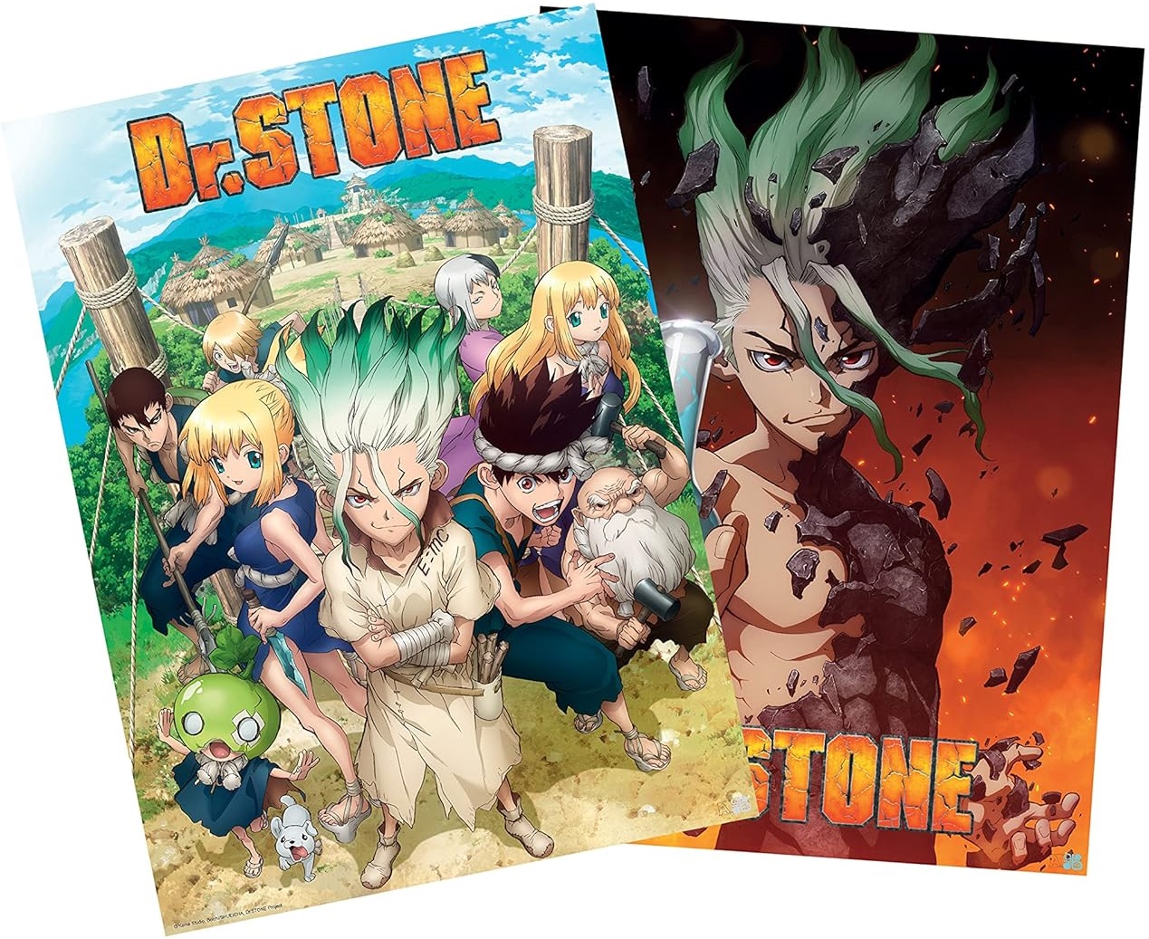 Set de postere mini GB eye Animation: Dr. Stone - Group & Artwork