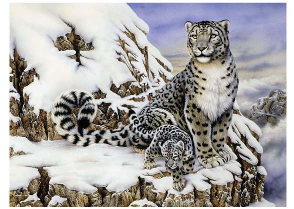 Set de pictură cu vopsele acrilice Royal - Regele Alpilor, 39 x 30 cm