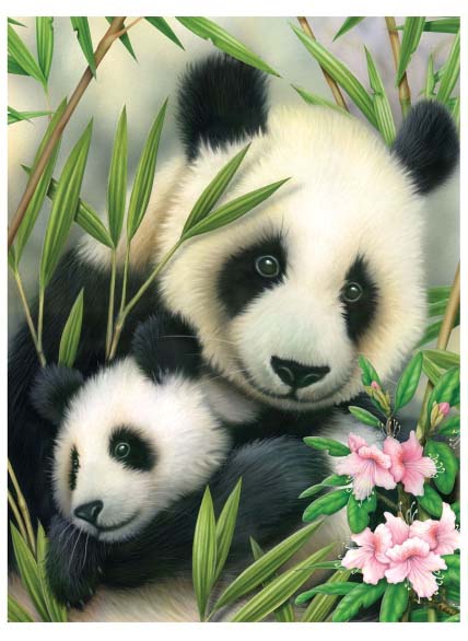 Set de pictură cu vopsele acrilice Royal - Panda și pui, 22 x 30 cm