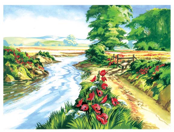 Set de pictură cu vopsele acrilice Royal - Râu cu maci, 39 x 30 cm