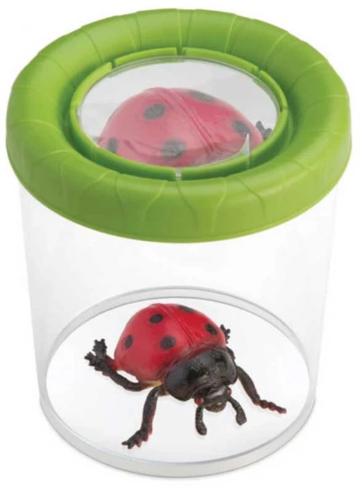 Recipient de observare a insectelor Navir - Cu lupă, asortiment