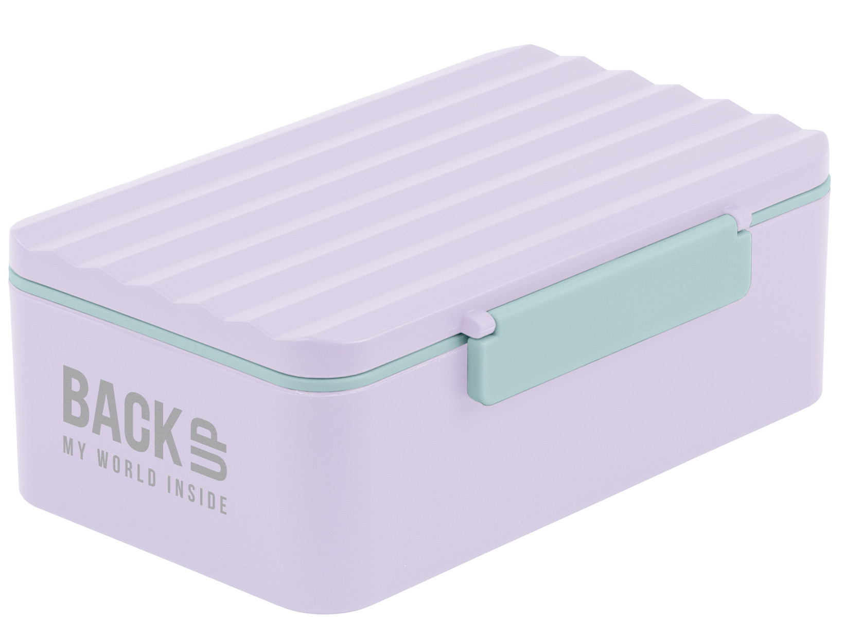 Cutie pentru mâncareack Up 6 C - Cu 2 comaprtimente, mov