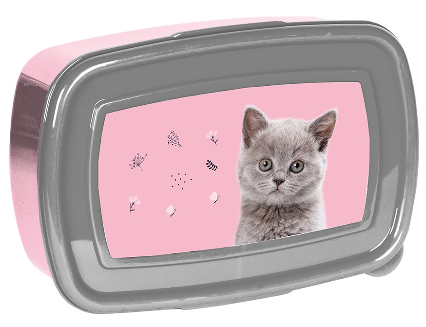 Cutie pentru mâncare Paso Cat - Pisică gri, 750 ml
