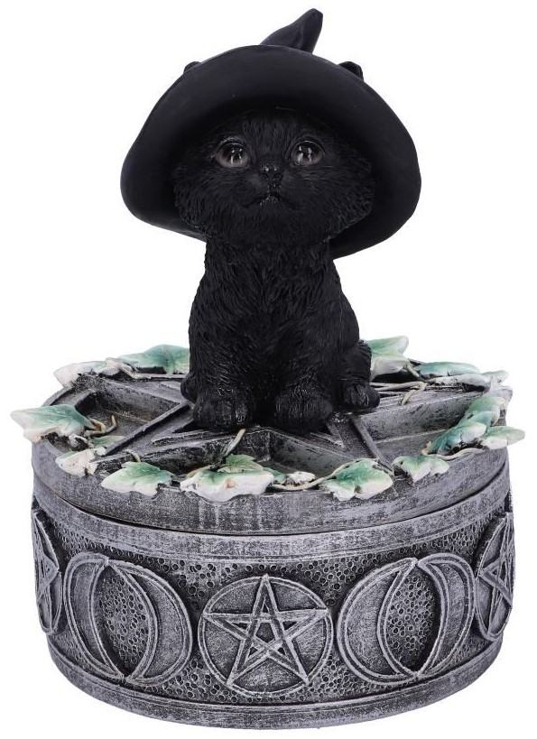 Cutie de depozitare Nemesis Now Adult: Gothic - Ivy Familiar Box, 15 cm