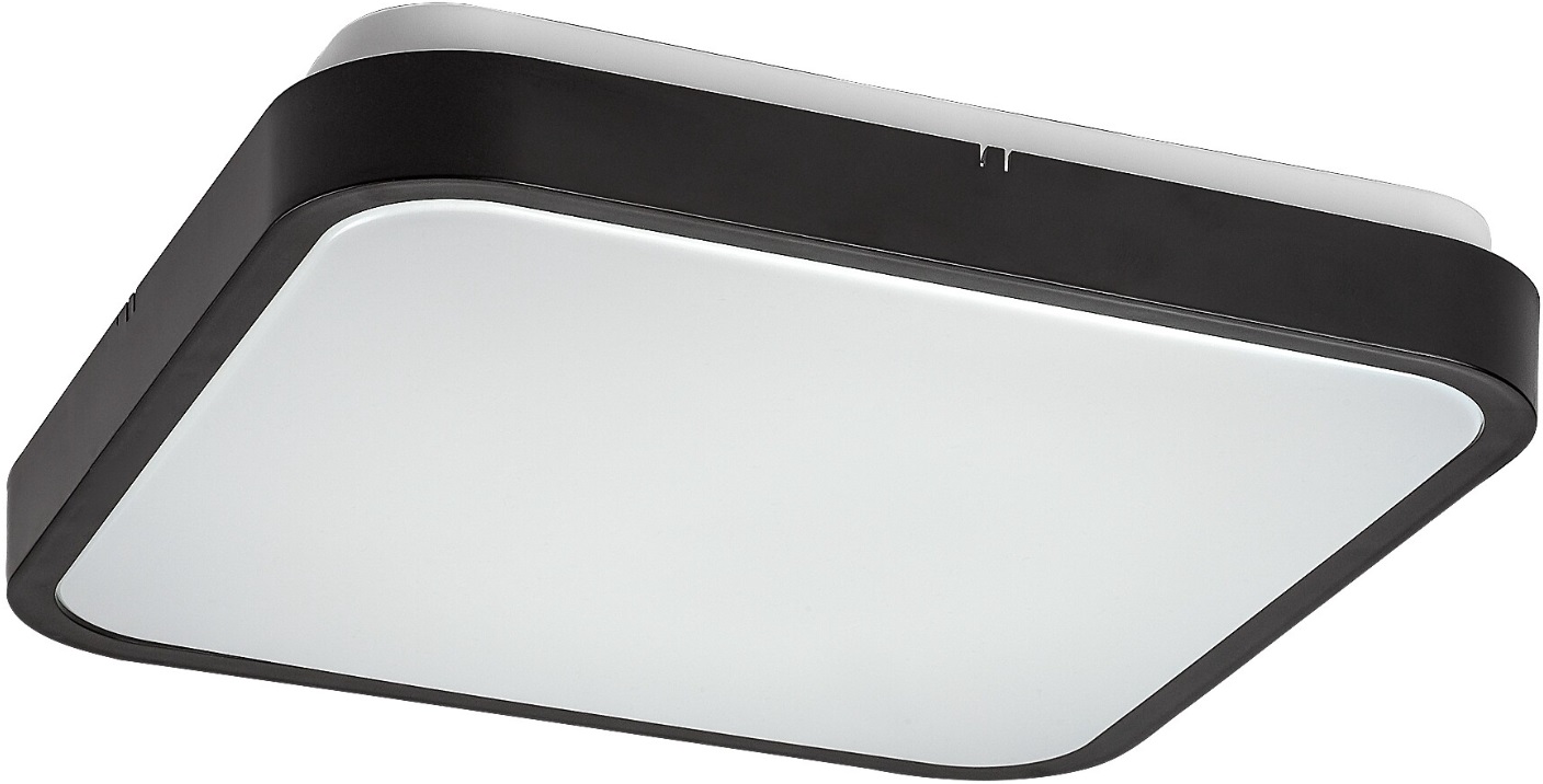 Panou LED Rabalux - Alenzo 71432, 24W, negru -Alb
