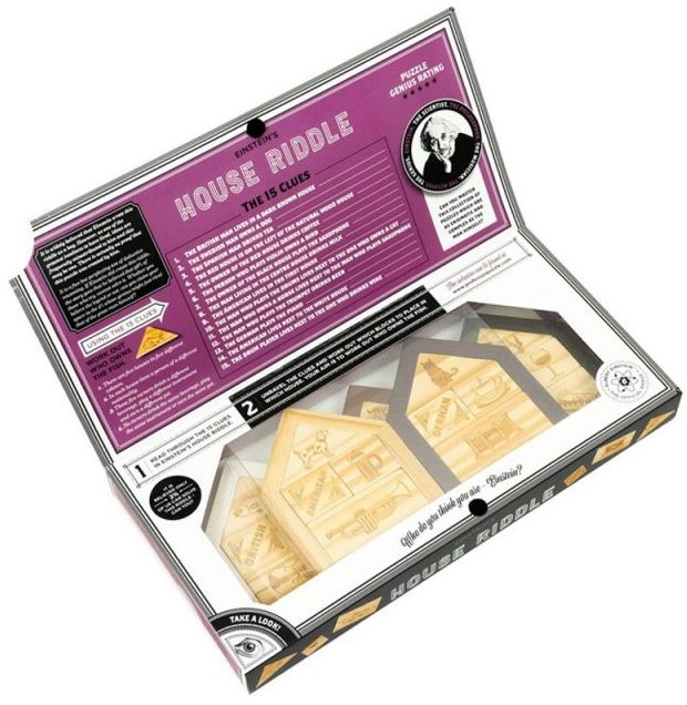 Puzzle logical Professor Puzzle - Case