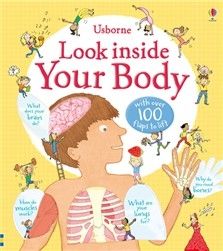 UBN Look Inside: Your Body (Usborne Look Inside) - imagine 2