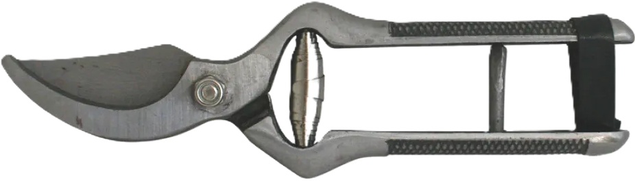 Foarfece de viță de vie Herly - 22.5 cm