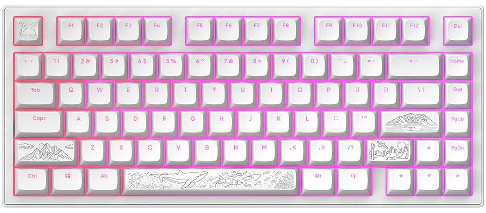 Tastatură mecanică Dark Project – Terra Nostra, albă