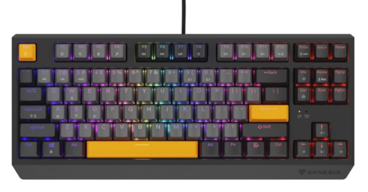 Tastatură mecanică Genesis - Thor 230 TKL, Outemu Red, RGB, Anchor Gray Negative