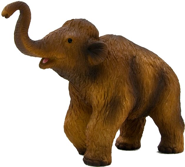 Mojo Mamut lanos - pui