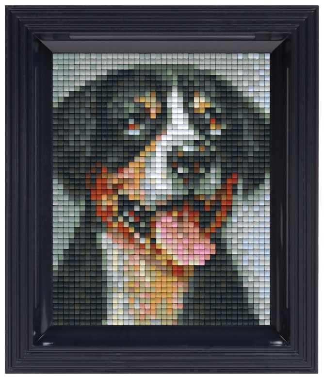 Mozaic cu ramă  Pixelhobby - Câine Sennenhund, Kit Pixel Clasic