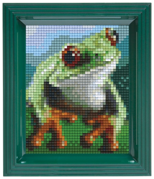 Mozaic cu ramă  Pixelhobby -Set de pixeli clasici pentru broaște