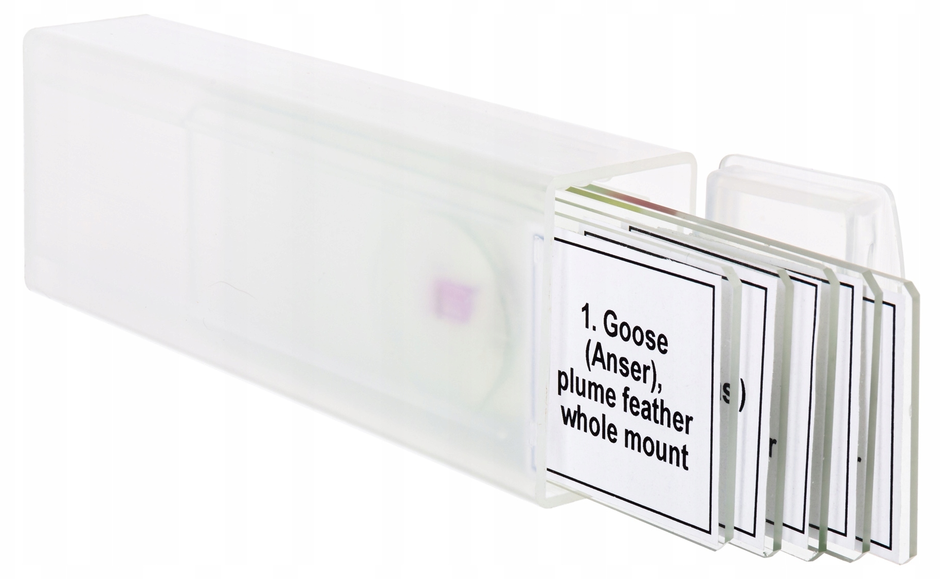 Set de microdispozitive Levenhuk - Discovery Prof DPS 5/Păsări