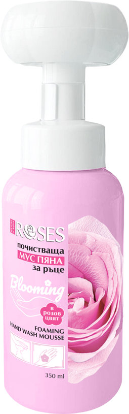 Aceasta este imaginea corespunzatoare acestui obiect