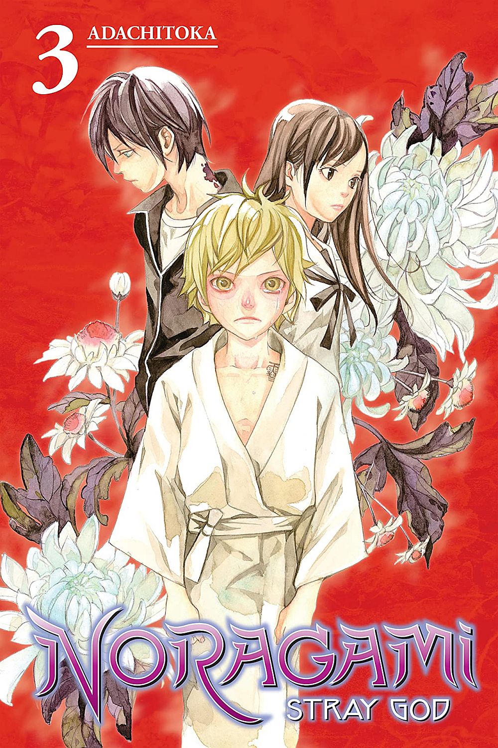 Noragami Stray God, Vol. 3