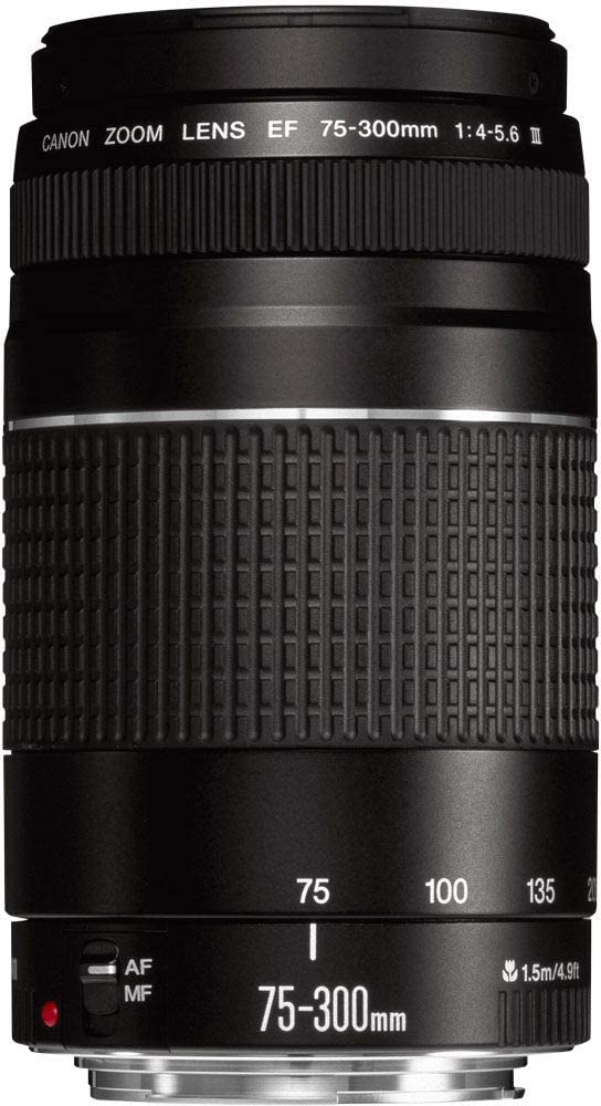 Obiectiv Canon - EF, 75-300mm, f/4-5.6 III