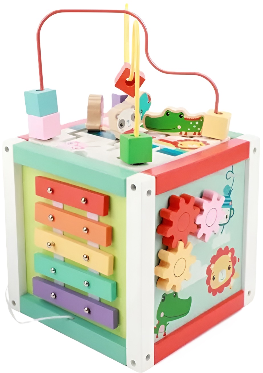 Set educațional 5 in 1 Fisher Price - Centru activ cub