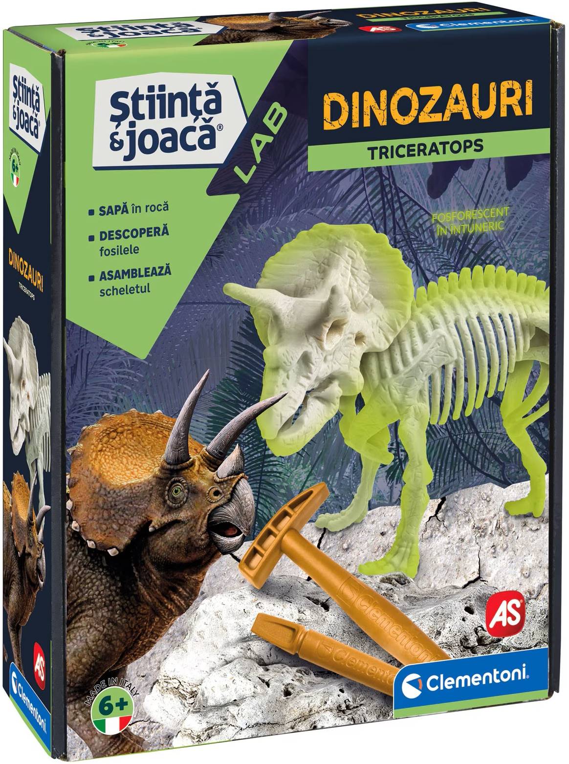 Aceasta este imaginea corespunzatoare acestui obiect