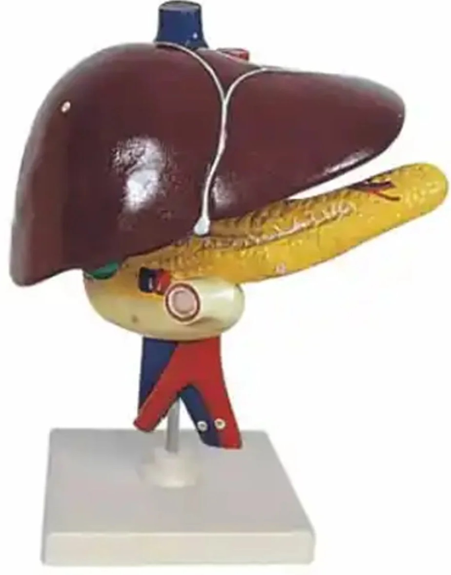 Aceasta este imaginea corespunzatoare acestui obiect
