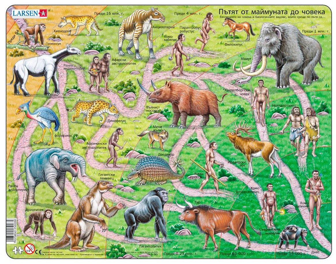 Puzzle educațional Larsen din 83 piese - Evoluţie