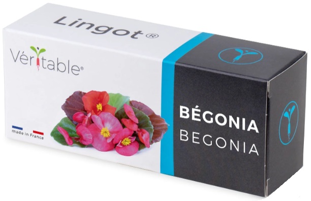 Umplutură sol Veritable - Lingot, Begonie comestibilă, fără OMG