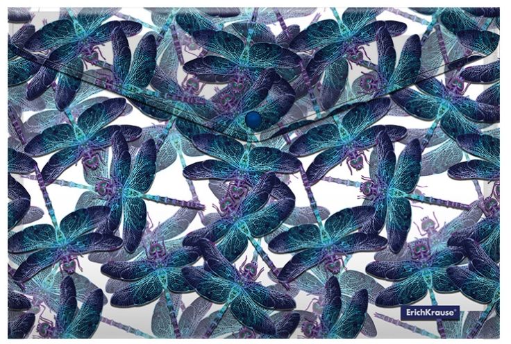 Dosar cu buton Erich Krause - Neon Dragonflies, A4