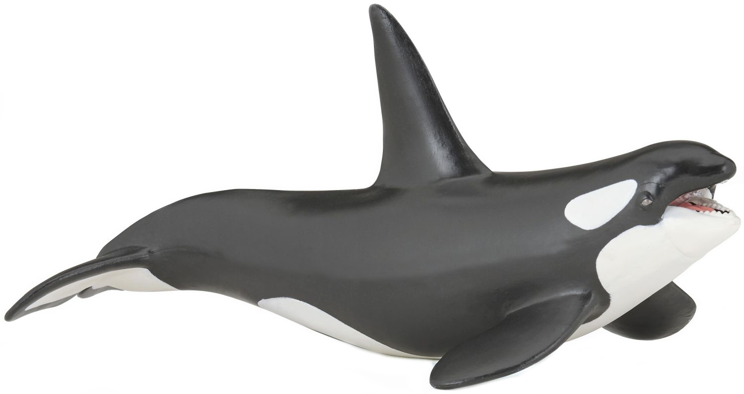 Figurina Papo Marine Life – Balena ucigasa