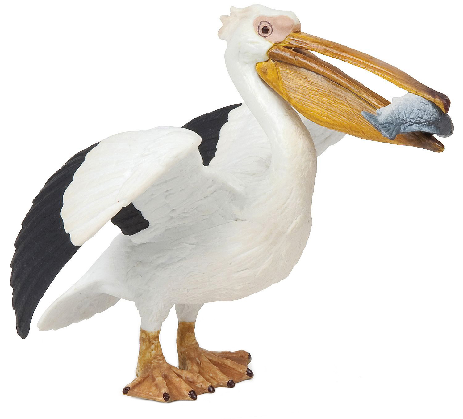 Figurina Papo Marine Life – Pelican