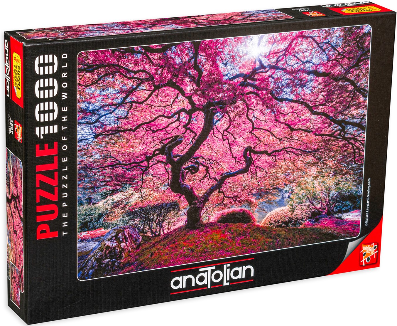 Puzzle Anatolian din 1000 de piese - Copac roz, Moises Levy