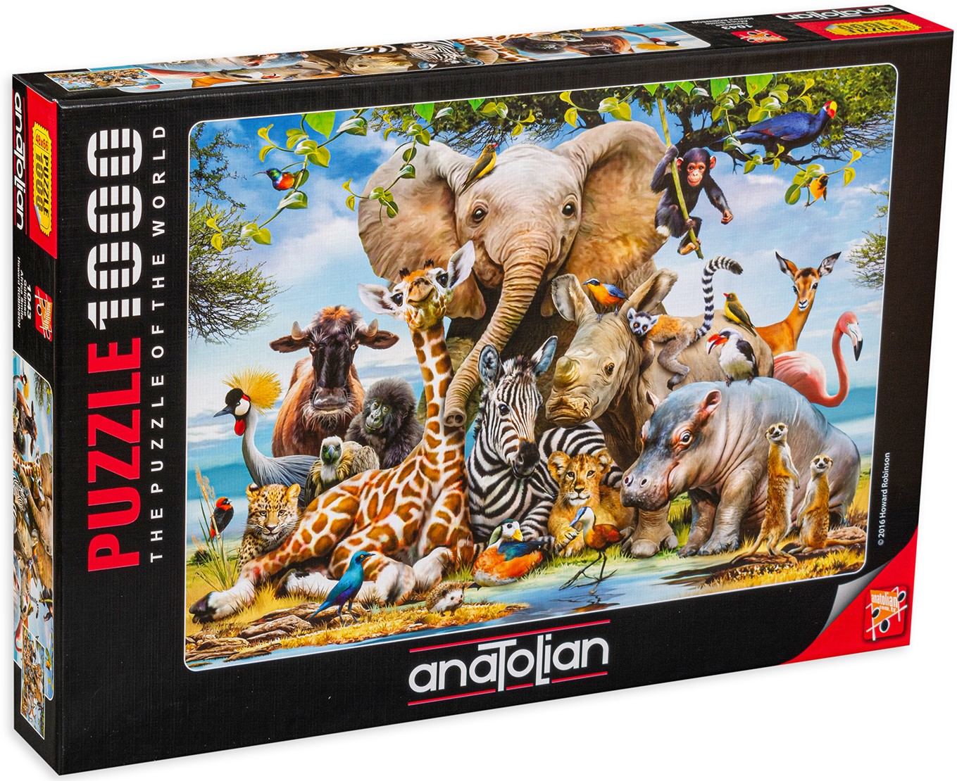 Puzzle Anatolian din 1000 de piese - Zambete din Africa, Howard Robinson