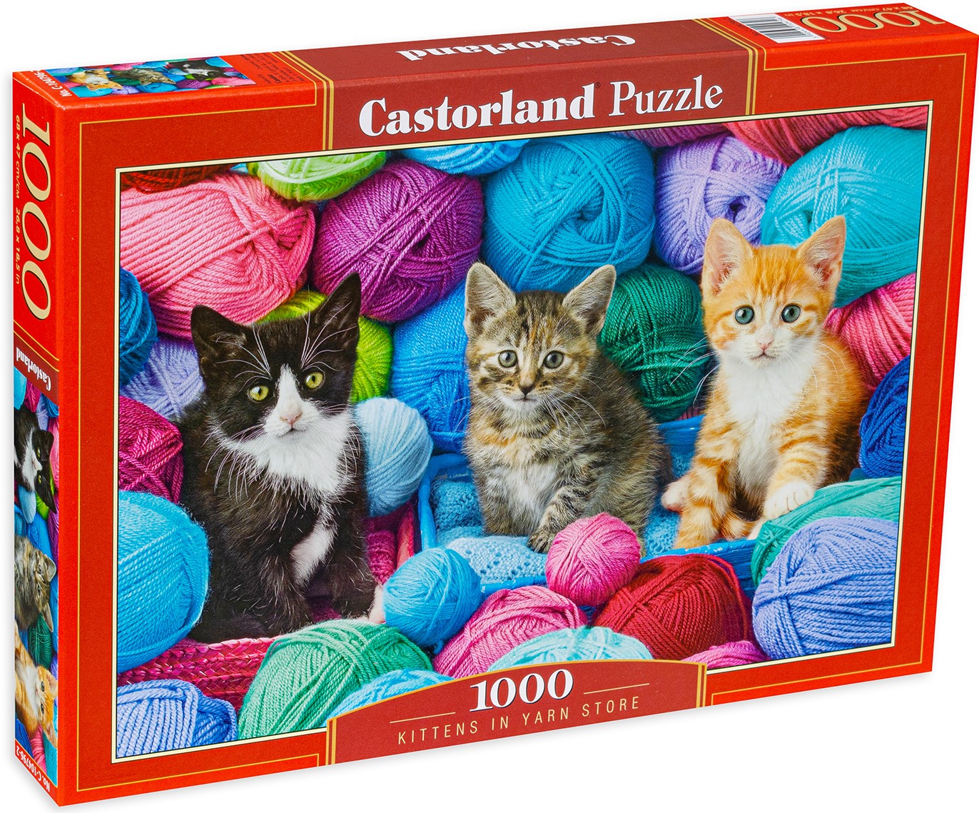 Puzzle Castorland din 1000 de piese - Pisicuțe în fire