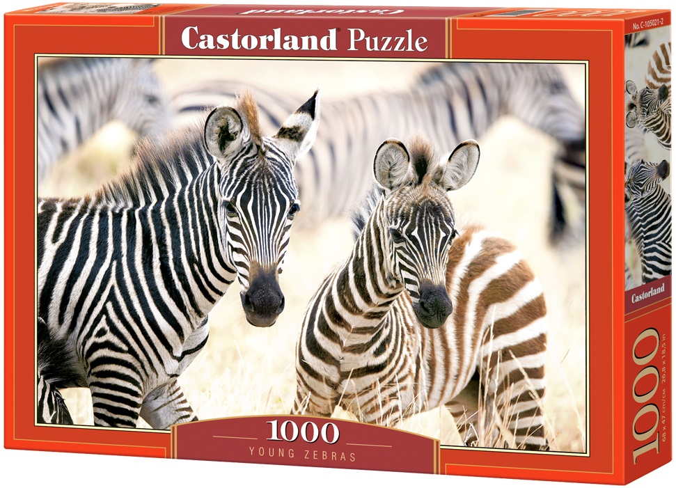 Puzzle Castorland din 1000 de piese - Pui de zebre