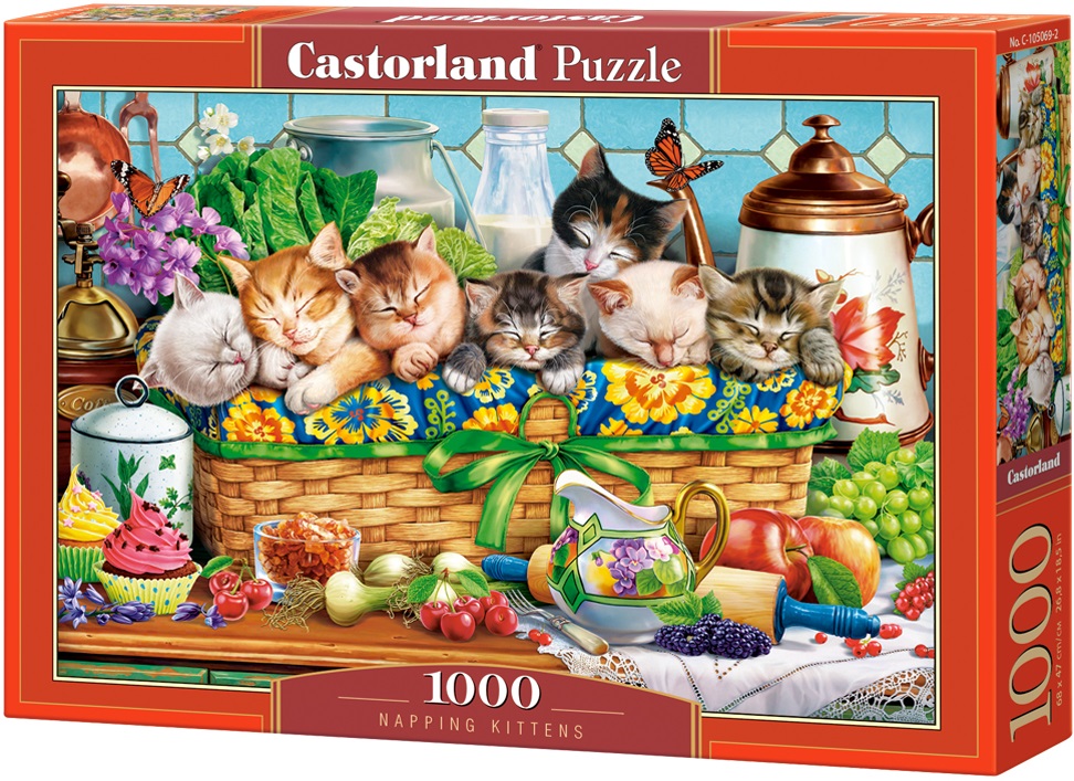 Puzzle Castorland din 1000 de piese - Pisicuțe adormite