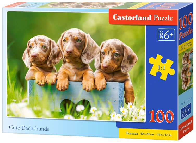Puzzle Castorland din 100 de piese - Catelusi draguti