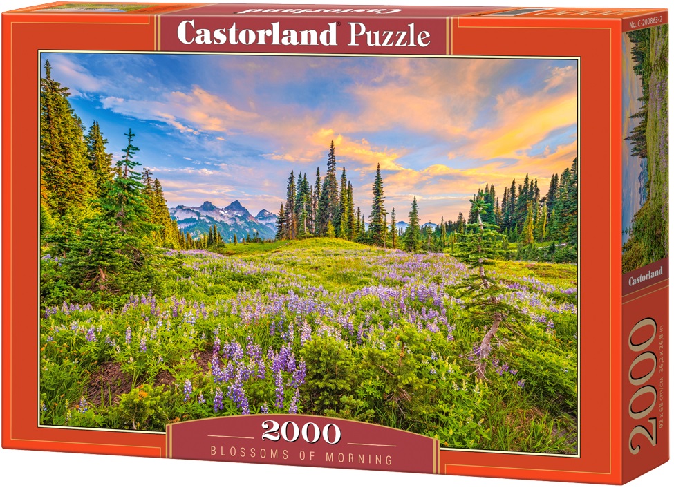 Puzzle Castorland din 2000 de piese - Culorile dimineții