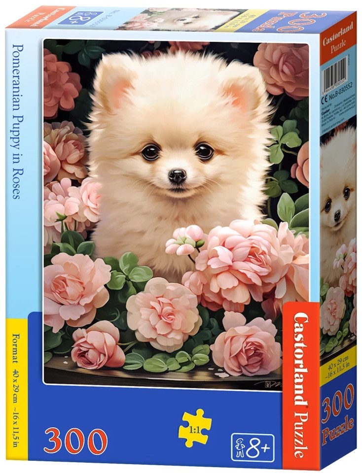 Puzzle Castorland din 300 piese - Pomeranian printre trandafiri